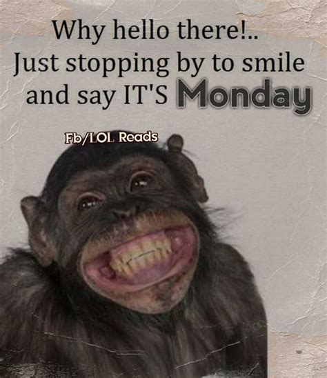 Stopping By To Smile And Say Its Monday Pictures Photos And Images