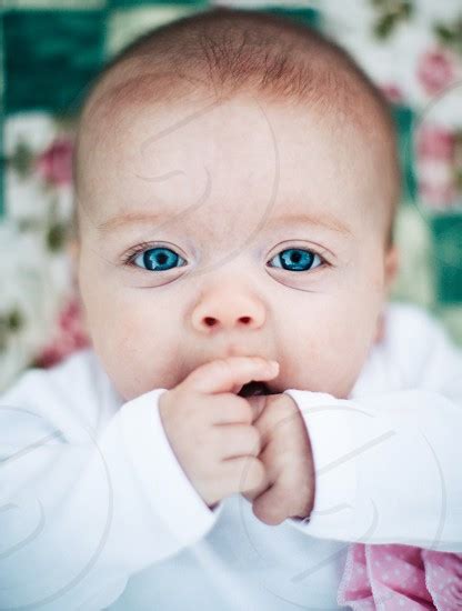Baby Blue Eyes By Mark Maya Photo Stock Studionow