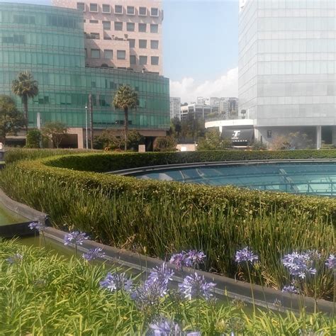 Garden Santa Fe Cidade Do México Atualizado 2022 O Que Saber Antes