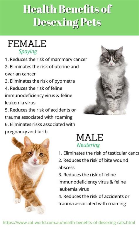 Pin On Cat Diseases
