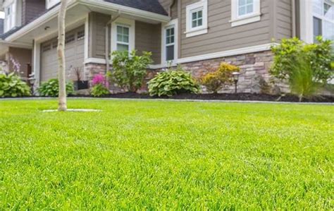 The Benefits Of Professional Lawn Care Services For Your Birmingham