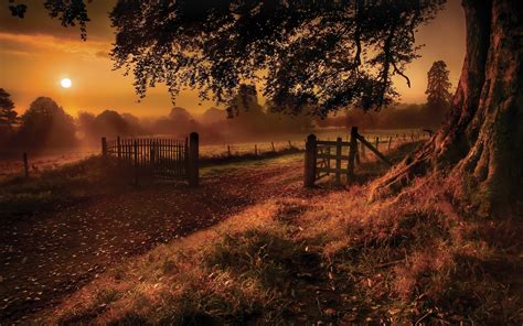 Nature Landscapes Roads Fields Path Fence Gate Trees Grass Sunset