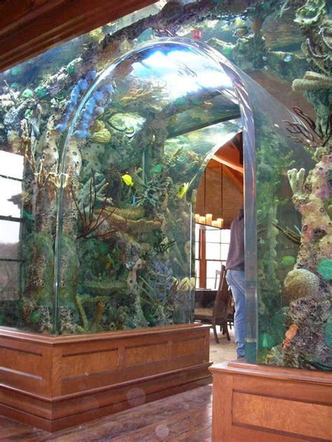 Cool things to put in a fish tank. Awesome fish tank ideas 15 | Amazing aquariums, Aquarium ...