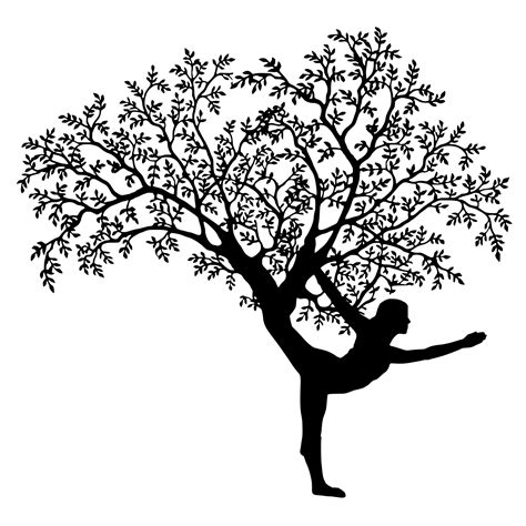 Yoga Tree Free Stock Photo Public Domain Pictures