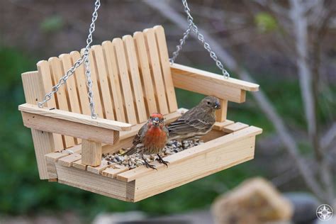 House Finches On Wooden Swing Bird Feeder Learn All About The Great