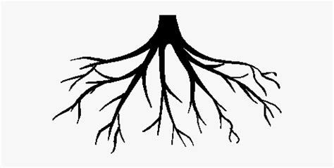 Clipart Roots 10 Free Cliparts Download Images On Clipground 2023