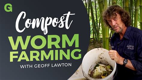 Compost Worm Farming With Geoff Lawton Eco Snippets