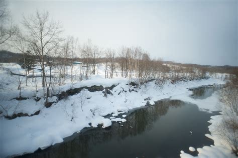 Free Stock Photo Of Hokkaido Winter Photoeverywhere