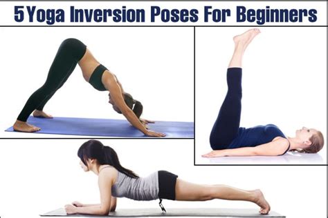 Top 5 Yoga Inversion Poses For Beginners Yoga Inversions Yoga