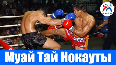 Тайский бокс Лучшие нокауты Муай Тай youtube