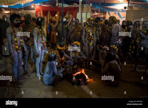 Allahabad India January Naga Sadhus Preparing For Shahi Snan Royal Bath In Sangam At