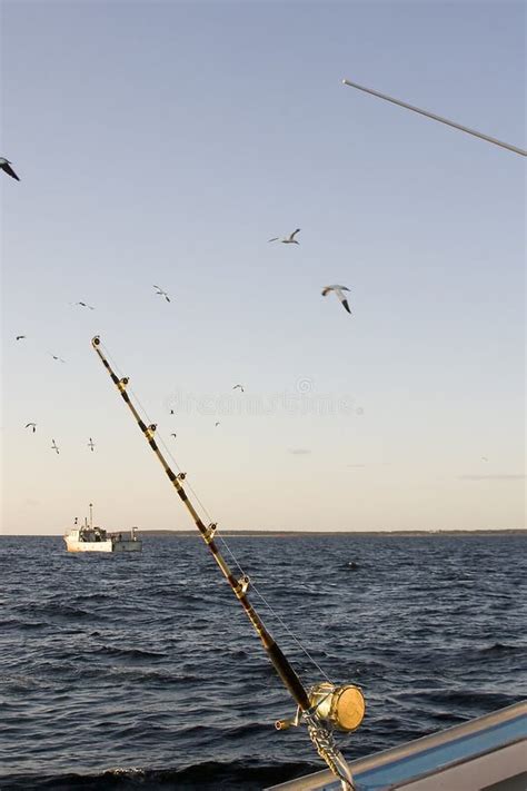 9671 Tuna Fishing Stock Photos Free And Royalty Free Stock Photos From