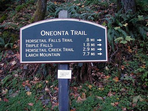 Oneonta Trailhead Hiking In Portland Oregon And Washington