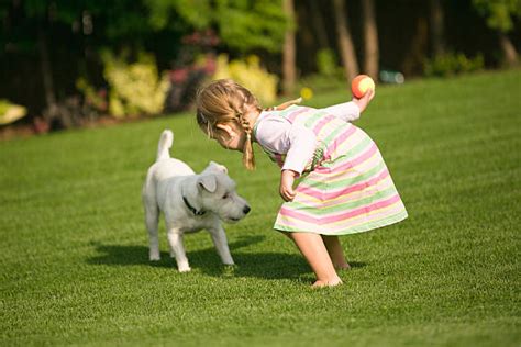 Niño Jugando Con Perro Mascota Jardín En El Césped Banco De Fotos E