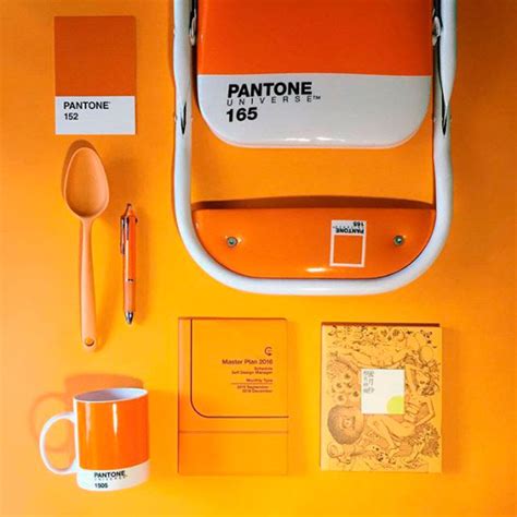 Tout Ce Que Vous Devez Savoir Sur La Liste Des Couleurs Pantone