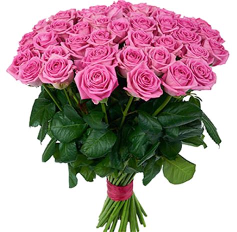 51 розовая роза — заказать/купить цветы на дом с курьерской доставкой ...