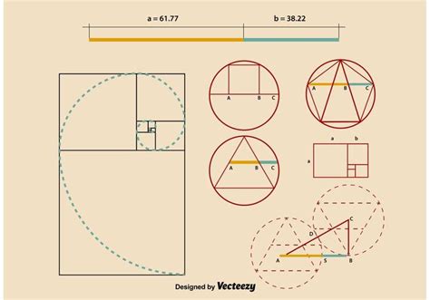 Golden Ratio Proportions 91542 Vector Art At Vecteezy