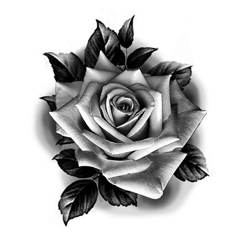 rose drawing tattoo rose hand tattoo rose flower tattoos rose tattoos for men roses drawing