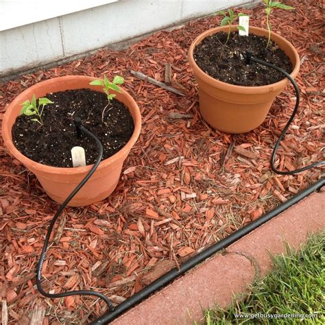 How To Install A Diy Drip Irrigation System For Potted Plants Garden