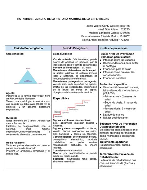 Historia Natural De La Enfermedad Gastroenteritis Rotavirus Historia