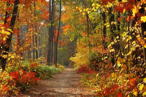 Fall In Massachusetts 7 Must Visit Destinations New England With Love