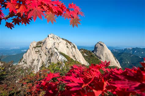 Baegundae Peak And Bukhansan Mountains In Autumnseoul In South Korea