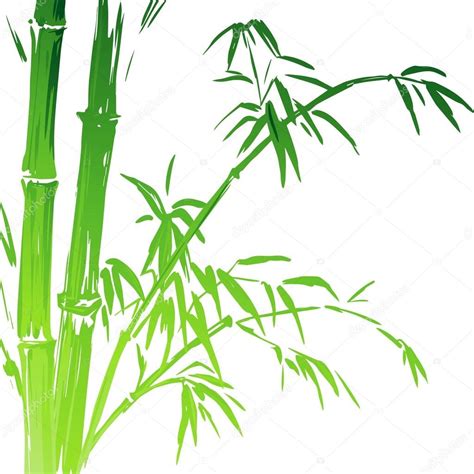 Watercolor Bamboo Branches Isolated On The White Background Vector