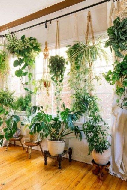 Cozy Indoor Plants Ideas For Natural Fragrant To Have 48