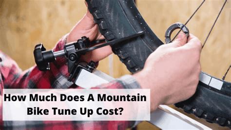 Spark plugs, spark plug wires, air filter, and a fuel filter. How Much Does A Bike Tune Up Cost? - Mountain Biking HQ