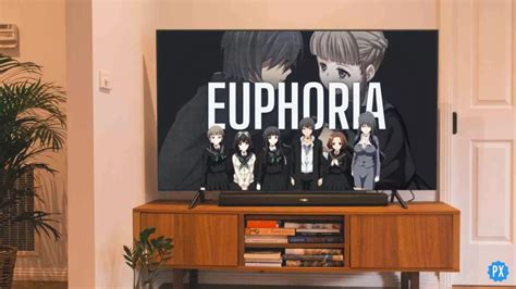 Where To Watch Euphoria Anime And Is It On Crunchyroll