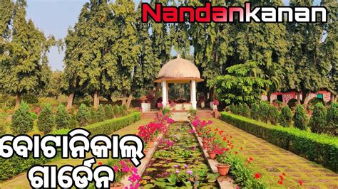 State Botanical Garden Nandankanan Bhubaneswar Best Picnicspot Rose