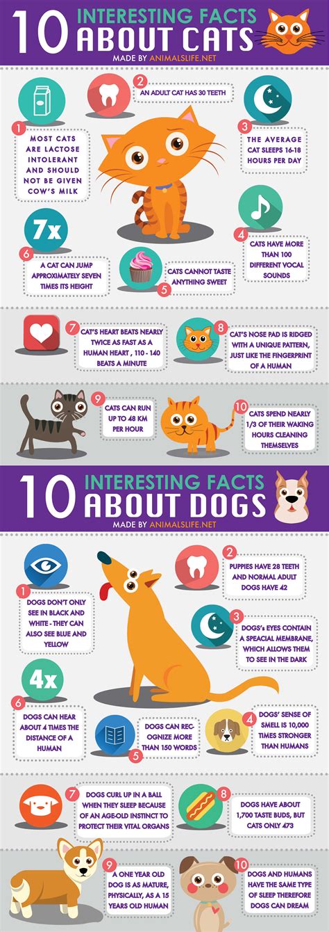 43 Hq Photos Cool Facts About Cats And Dogs 21 Cat Facts You Really