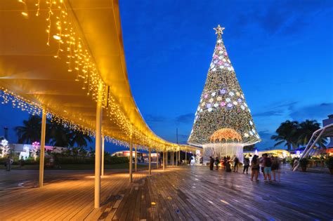 Best 20 Christmas Trees Around The World