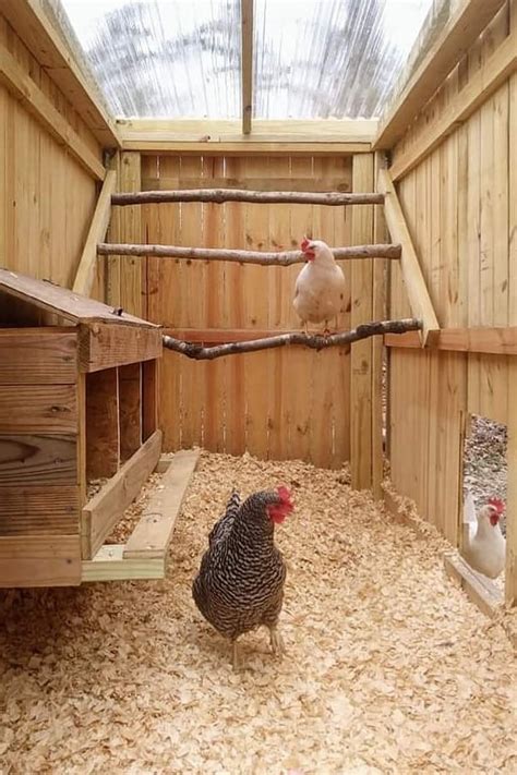 Two Chickens In A Wooden Coop With Wood Flooring And Walls One Chicken