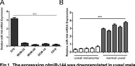 figure 1 from mir 144 inhibits uveal melanoma cell proliferation and invasion by regulating c