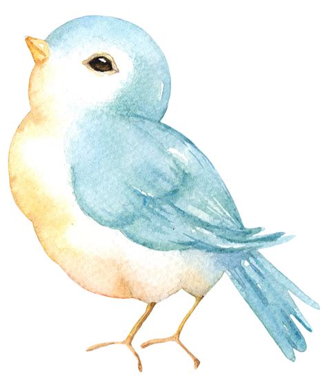 A Watercolor Painting Of A Blue And White Bird