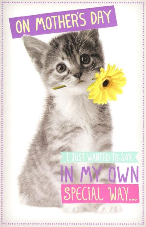 Kitten And Flower Happy Mothers Day Card Cards