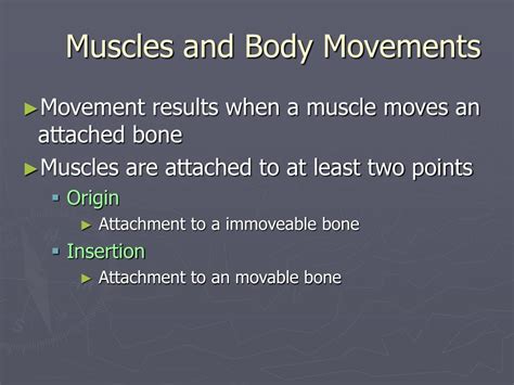 Ppt Body Movements Powerpoint Presentation Free Download Id3796839
