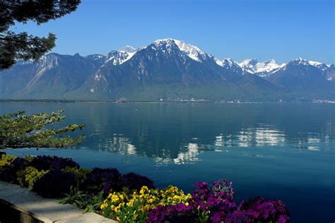 Hd Wallpaper Lake Geneva Switzerland Mountain Reflection Water Flower Sky