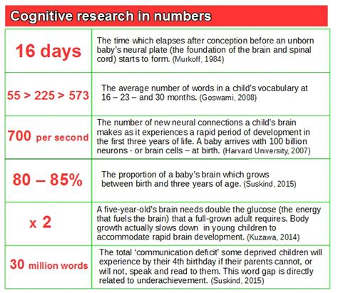 Cognitive Development The Science Of Childcare