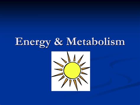 Ppt Energy And Metabolism Powerpoint Presentation Free Download Id 6383397