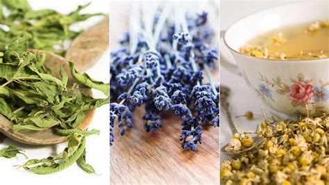  Acupuncture Works Anxiety Relief Everyday Health