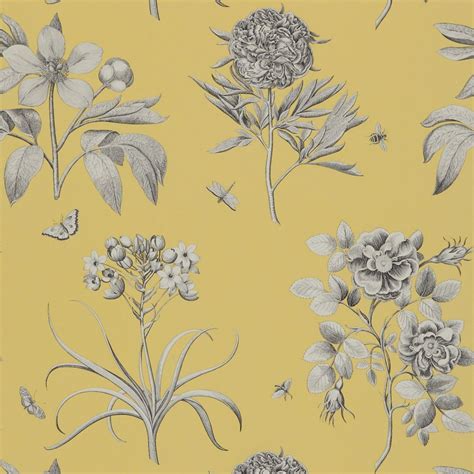 Etchings And Roses Wallpaper Empire Yellow Dpfwer104 Sanderson