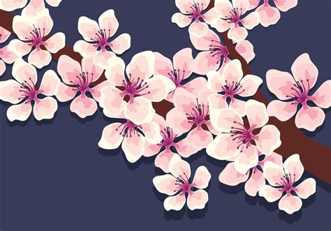 Cherry Blossoms Vector 268609 Vector Art At Vecteezy