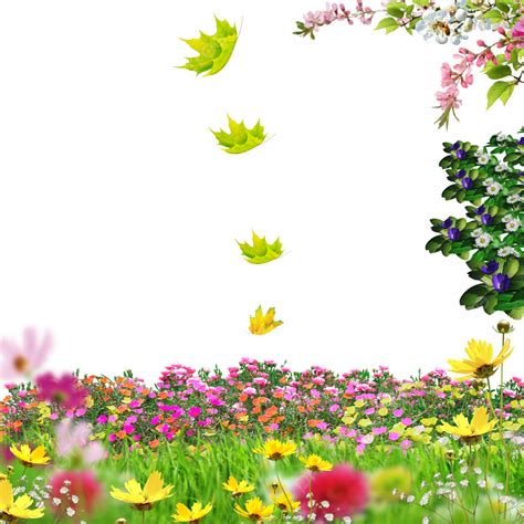 Flower Garden Flower Garden Flowers Png Transparent Clipart Image