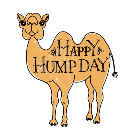 Happy Hump Day Days Hump Day