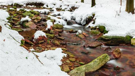 A Mountain River In The Forest In Winter Calm Water Flows Along The
