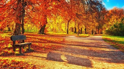 Download Wallpaper Park Trees A Bench Bench Free Desktop Wallpaper