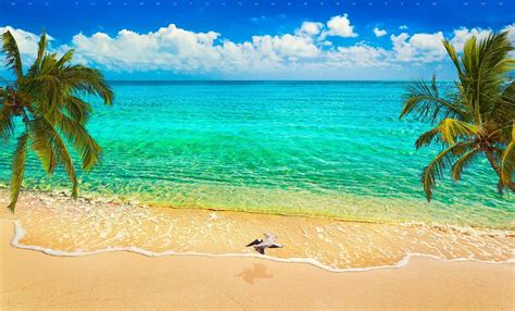 Caribbean Summer Wallpapers Wallpaper Cave