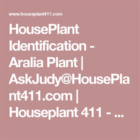 Houseplant Identification Aralia Plant Askjudy